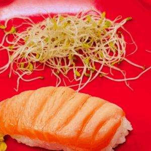 NIGIRI SAUMON SNACKÉ X2