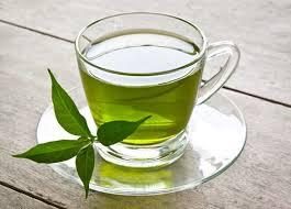 THE VERT SENCHA